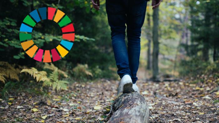 En person balanserar på en stock som ligger på marken ute i skogen. Till vänster syns loggan för Agenda 2030.
