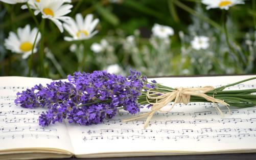 En liten bukett med lila sommarblommor som ligger ovanpå en uppslagen bok med noter.