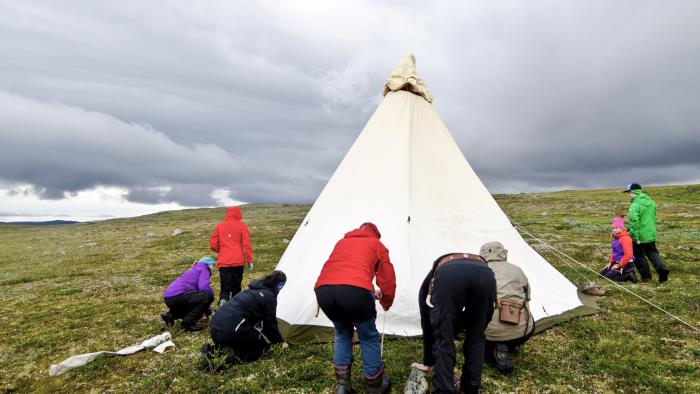 En grupp människor sätter upp ett tält på fjället.