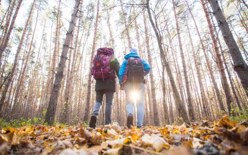 Två personer med ryggsäckar promenerar i en skog fylld med höstlöv på marken.