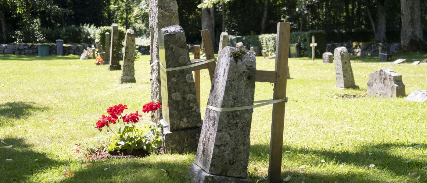 Några gamla gravstenar på en kyrkogård hjälps upp av trästörar.
