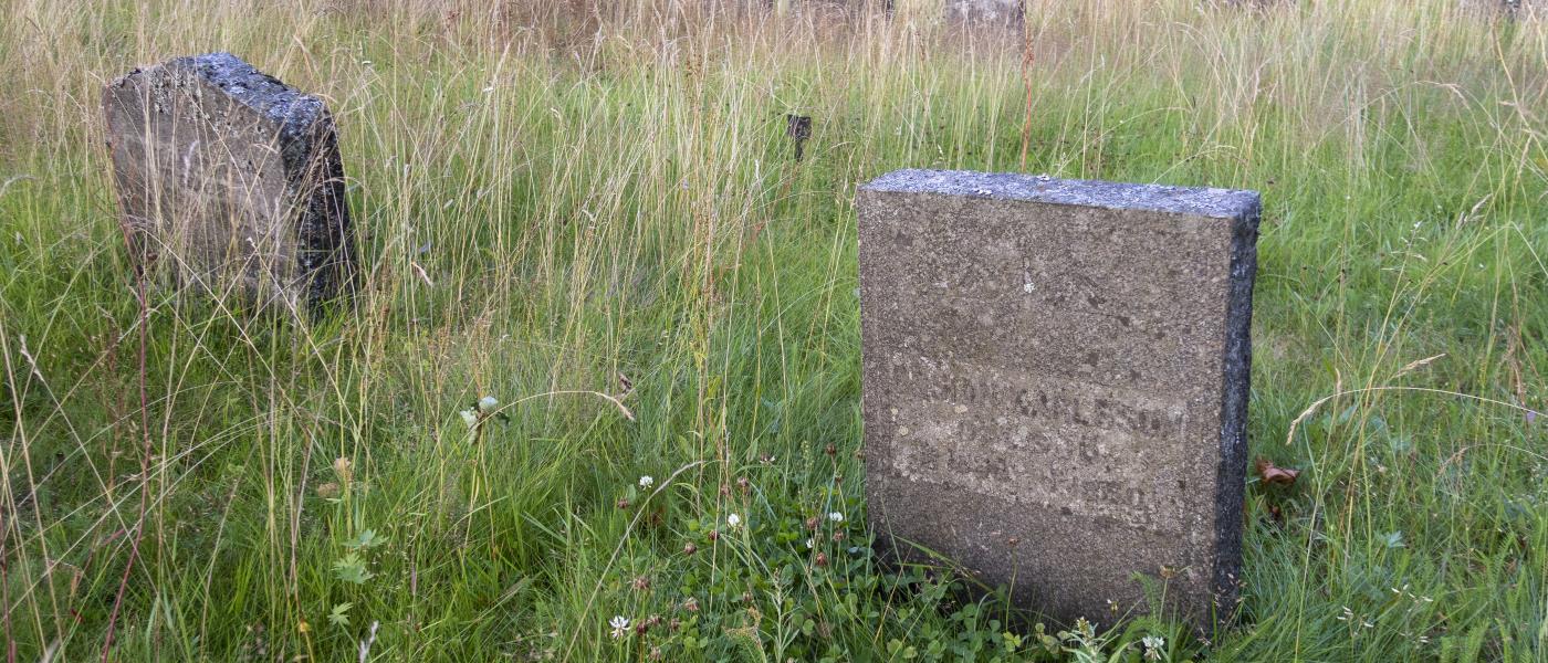 Gravstenar bland högt gräs på en kyrkogård.
