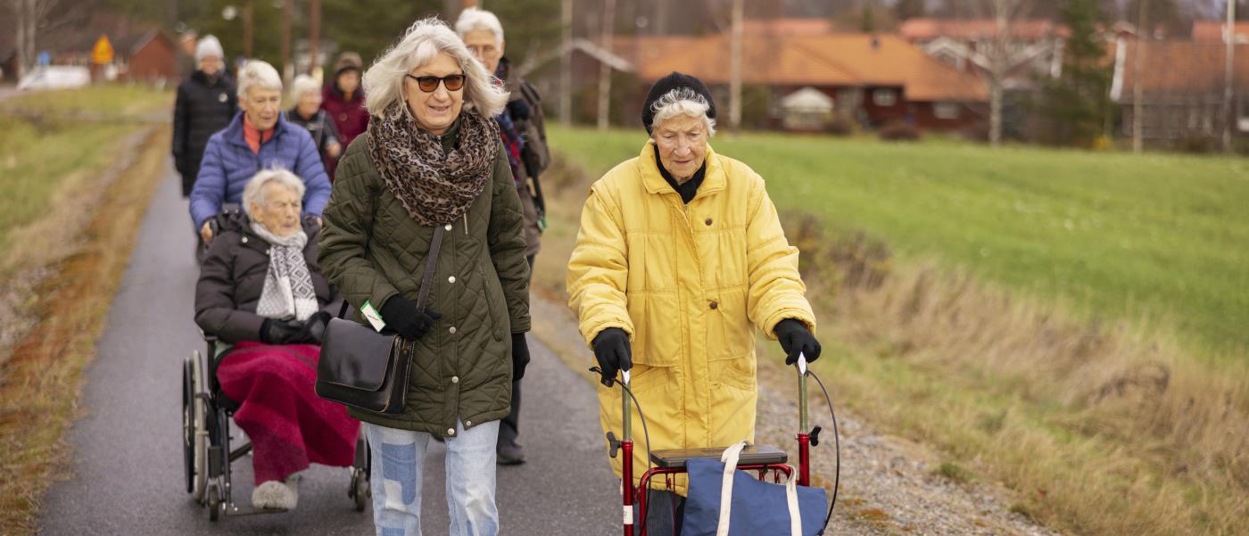 En grupp äldre personer är ute och promenerar tillsammans på en cykelväg.