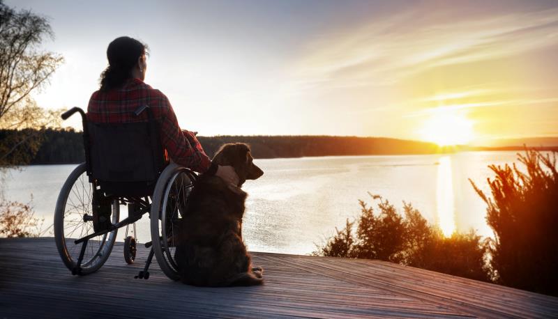 En person sitter i rullstol och ser ut över solnedgången tillsammans med en hund.