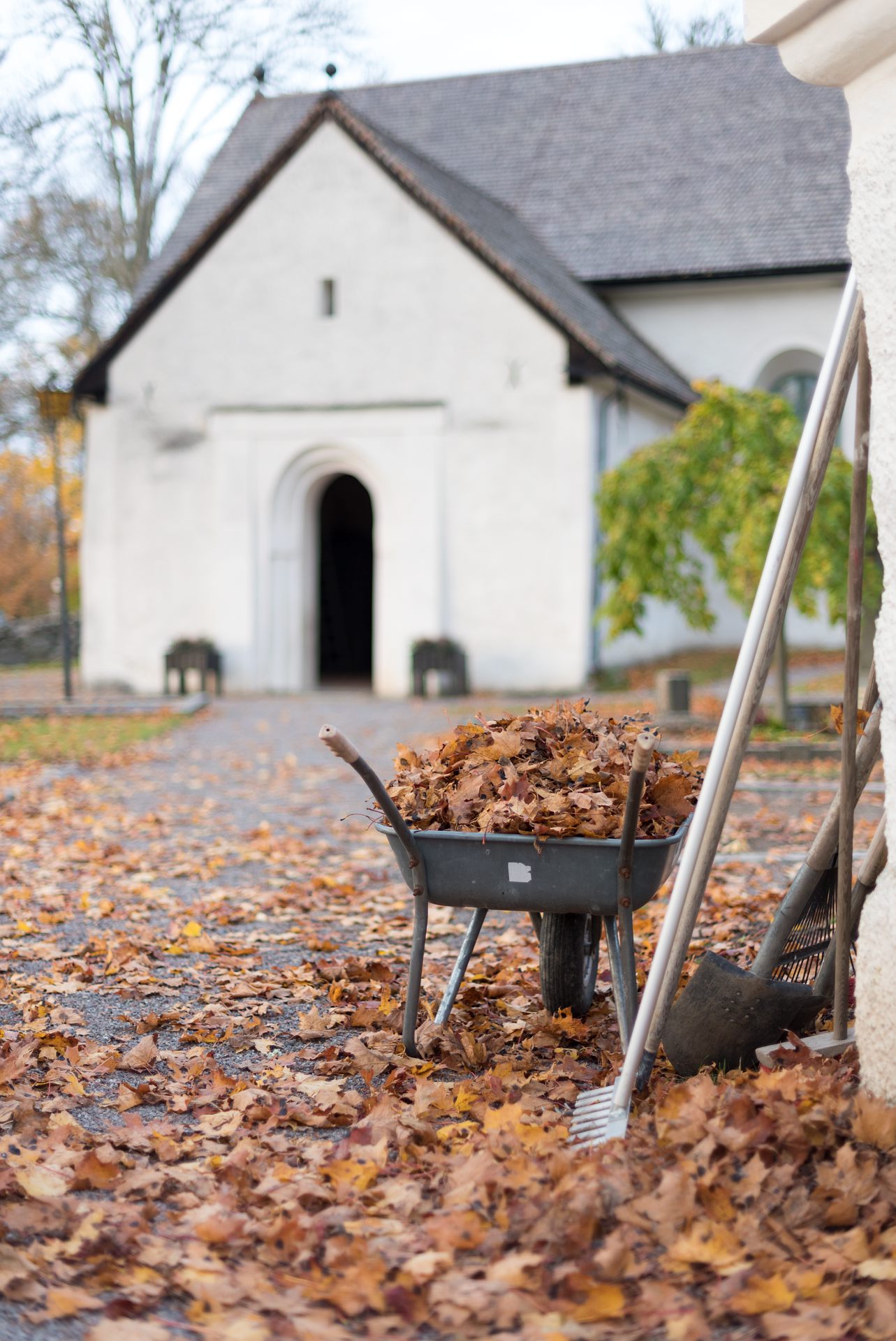 Skottkärra fylld med höstlöv framför vit kyrka.