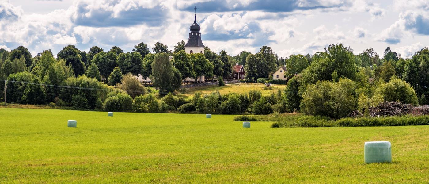 Sommaräng med kyrka i bakgrunden