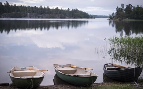 Tre roddbåtar ligger med fören uppdragen på land.