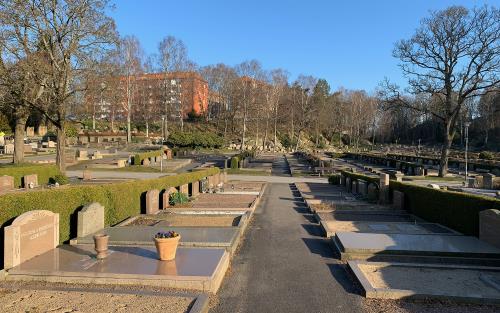 Örgryte nya kyrkogård i morgonljus, vy över gravar och med bostadshus i bakgrunden