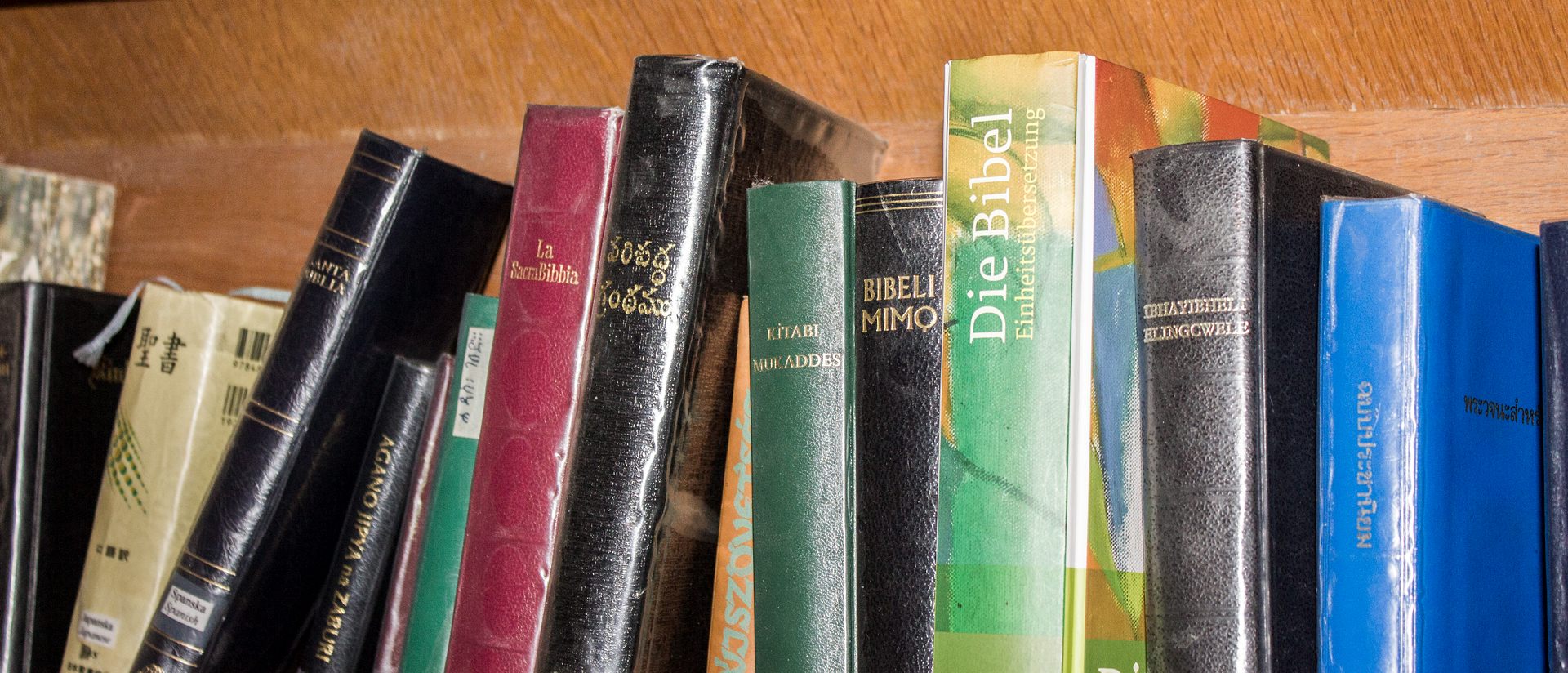 Bokryggar i en bokhylla. Bibeln på olika språk.
