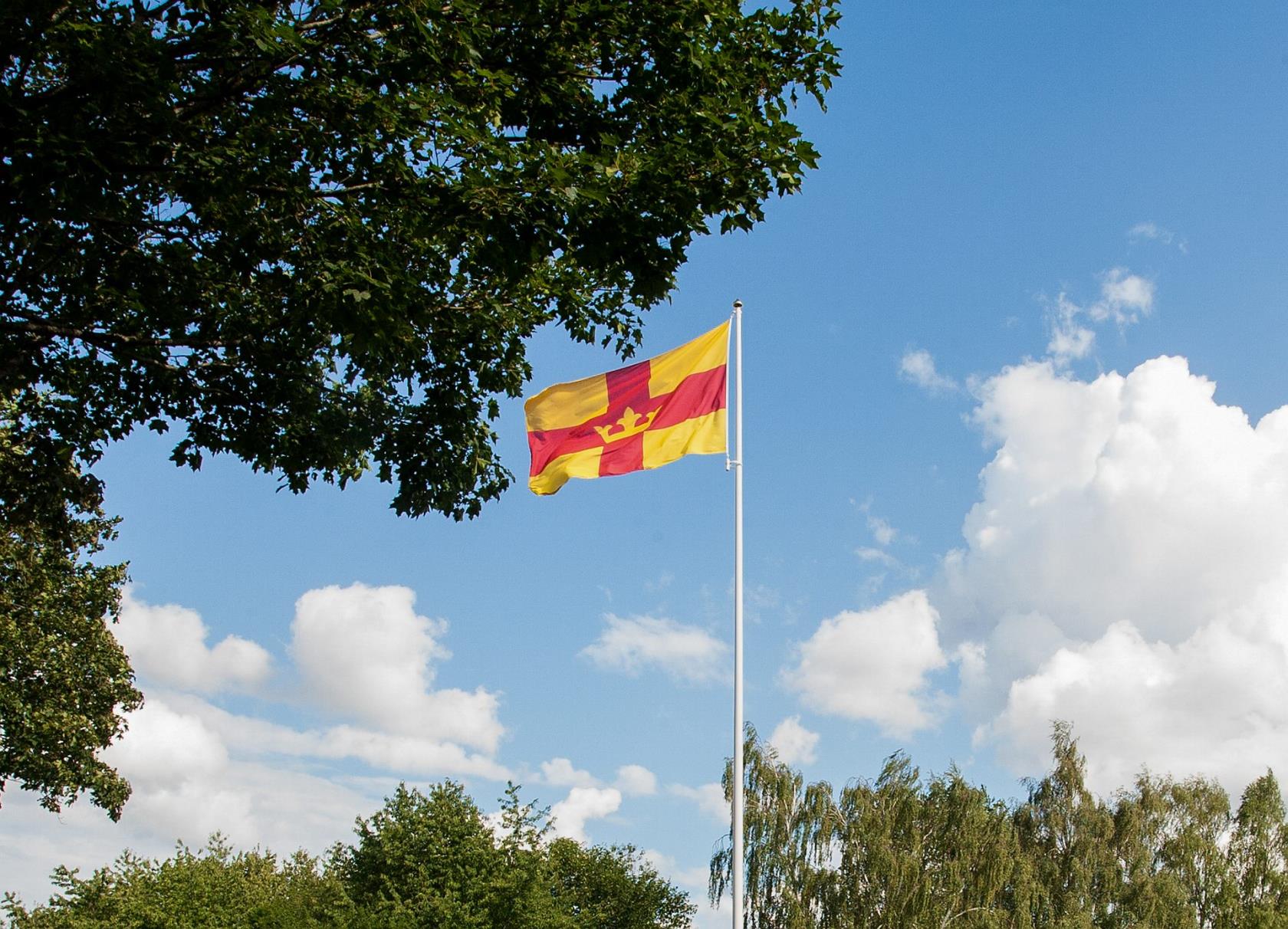 Svenska kyrkans flagga.