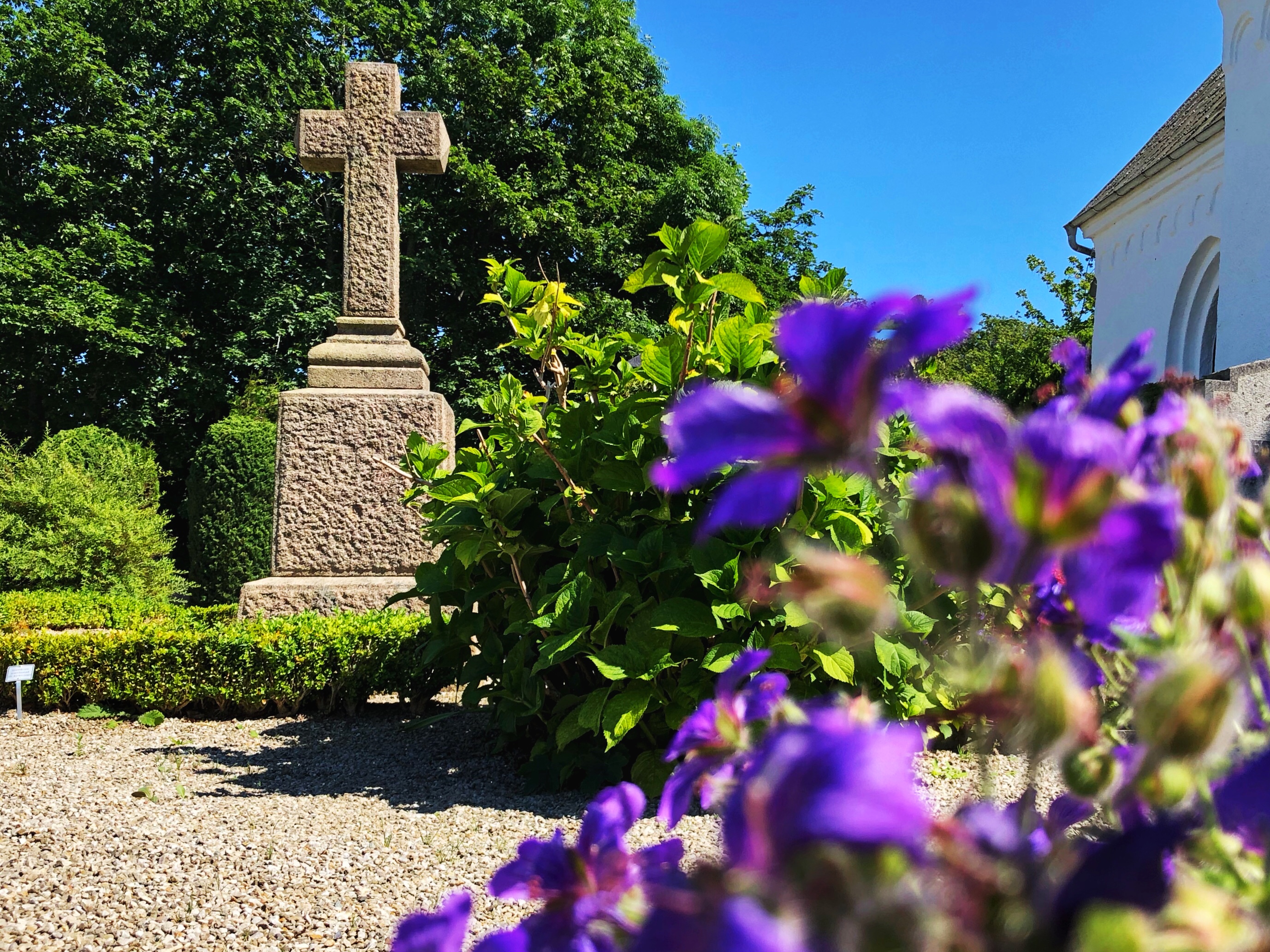 Stenkors. I förgrunden lila blommor.