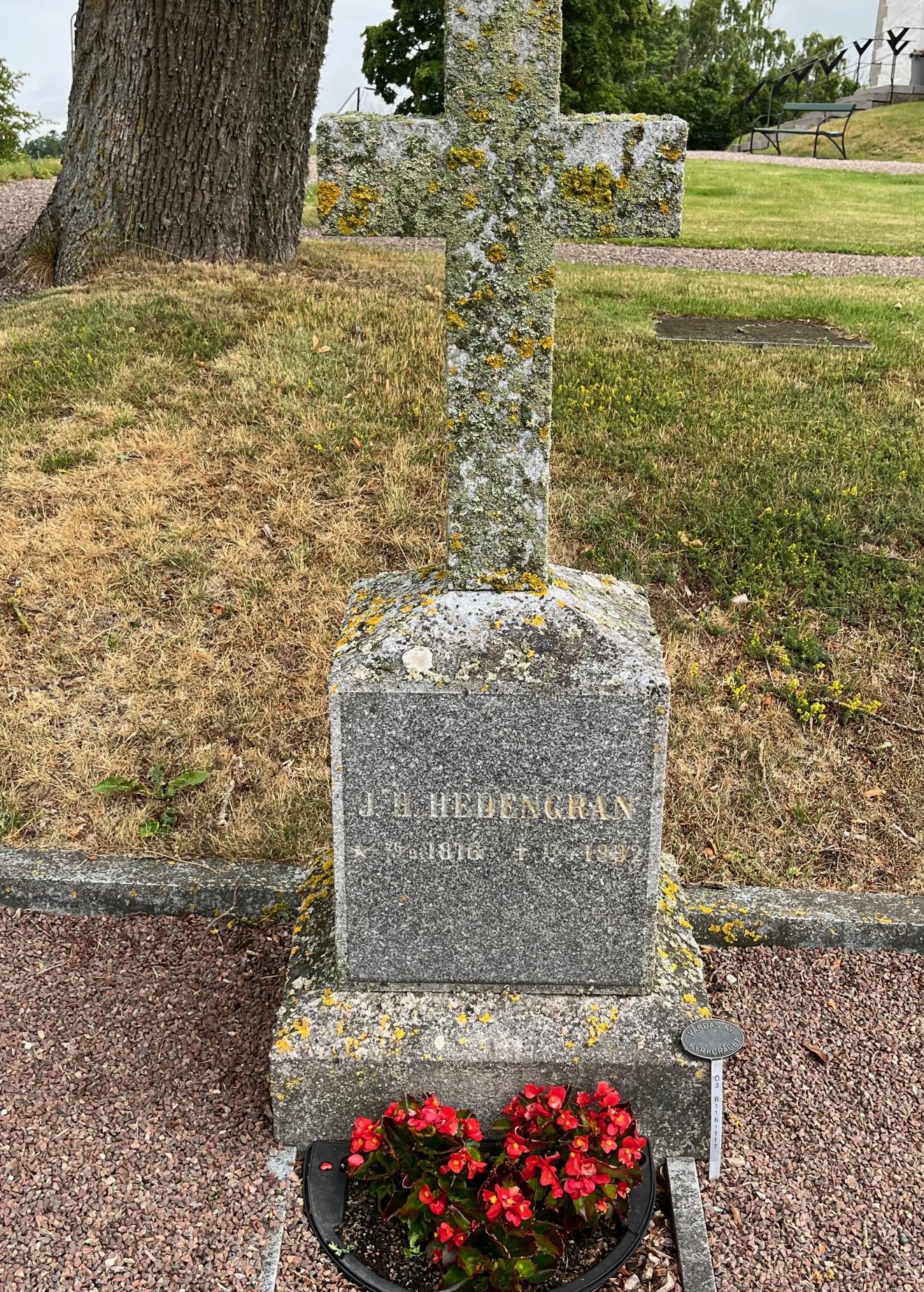 Gravsten Hedengran på Stora Åby kyrkogård. Röda blommor framför graven.