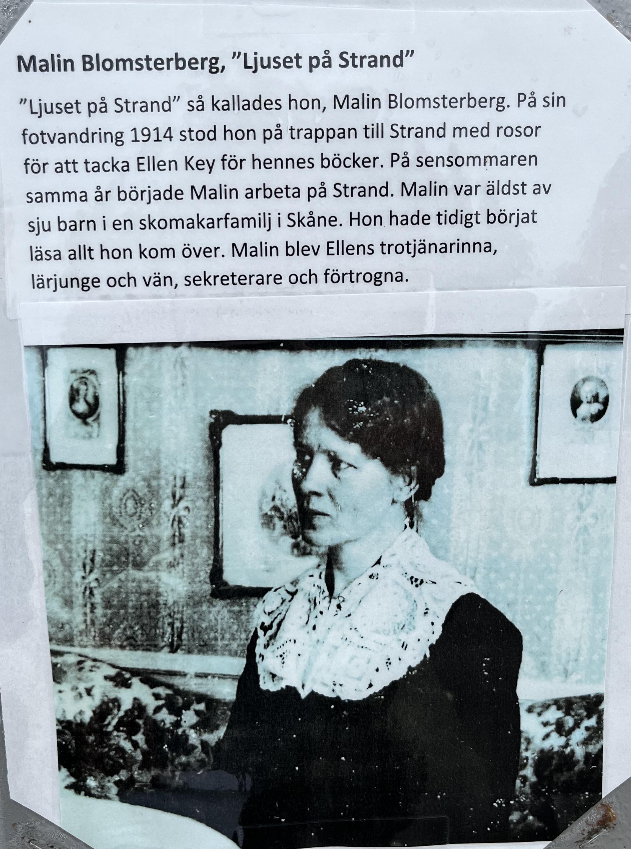 En svartvit bild av Malin Blomsterberg.