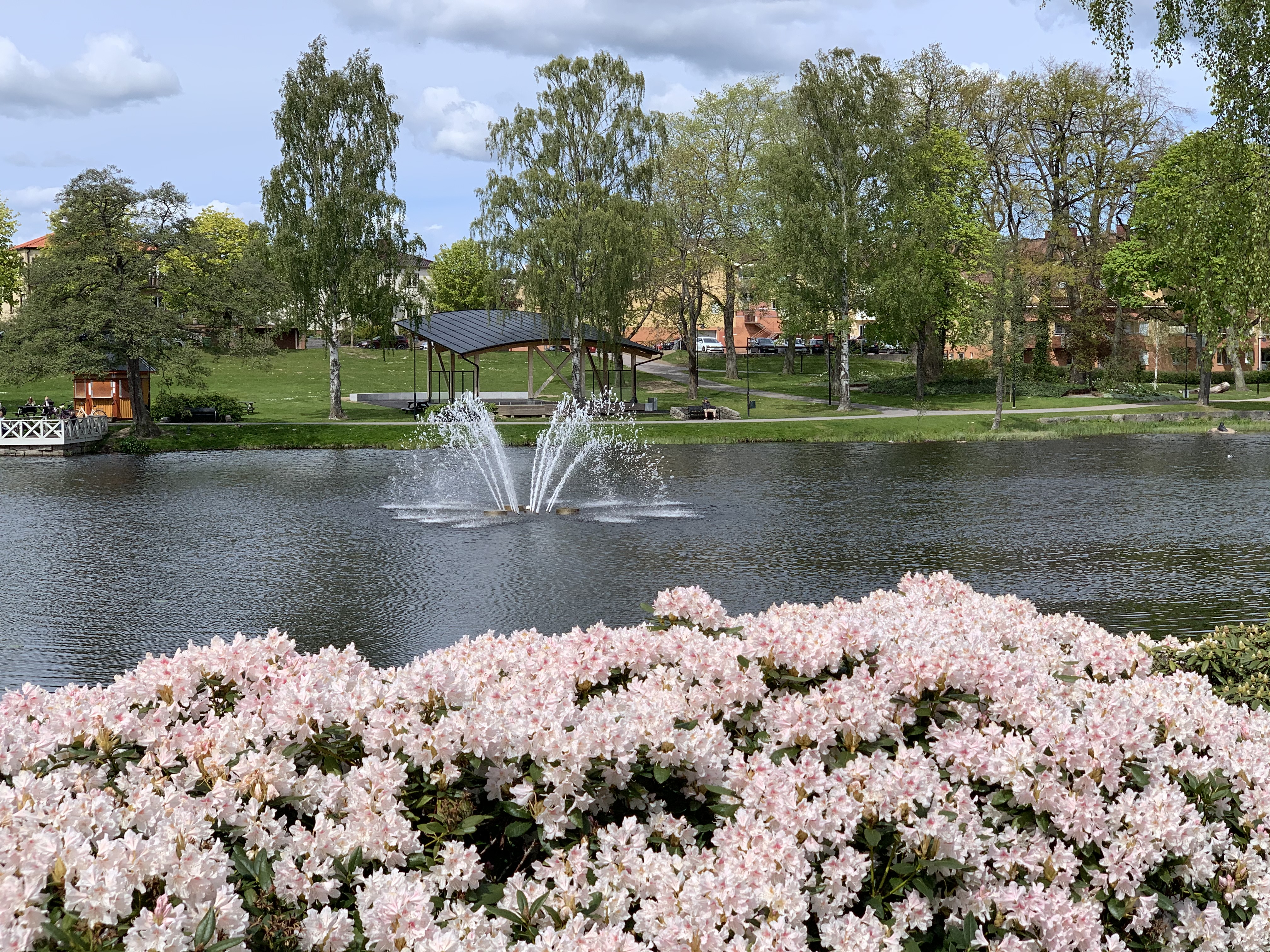 Stadsparken i Mjölby. Blommande buskar och svartån med en fontän.