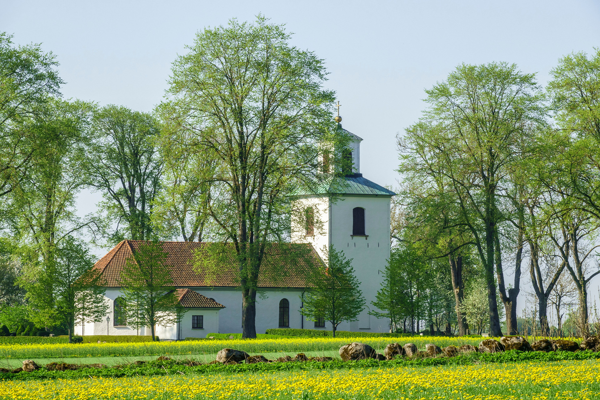 Vit putsad äldre kyrka omgiven av nyutslagna träd.