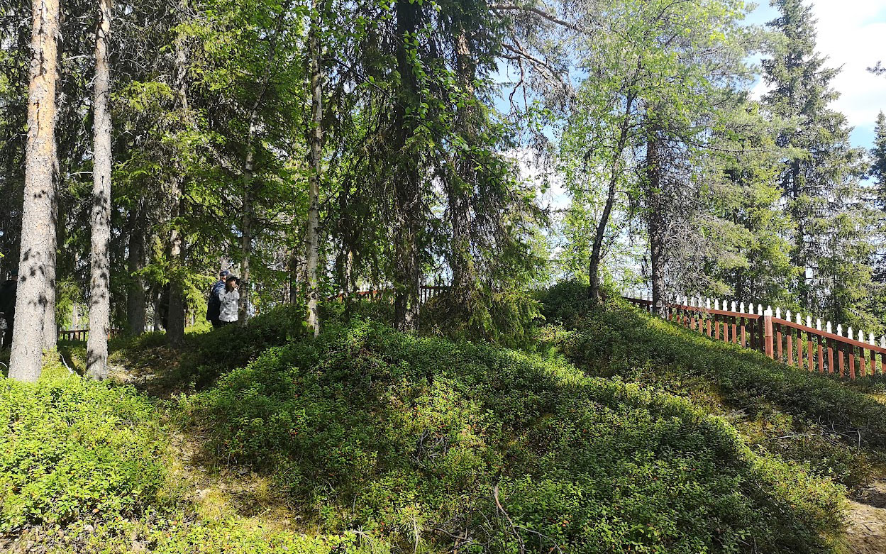 Träd och natur på en kyrkogård