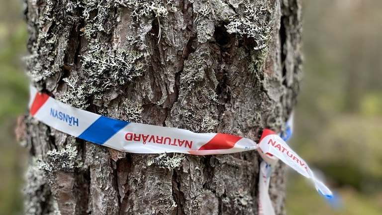 En trädstam med ett band runt där det står Naturvård.