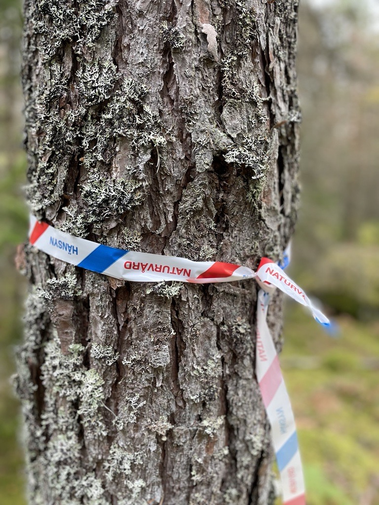 En trädstam med ett band runt där det står Naturvård.