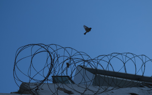 En mur med taggtråd. En fågel flyger över mörkblå himmel i bakgrunden.