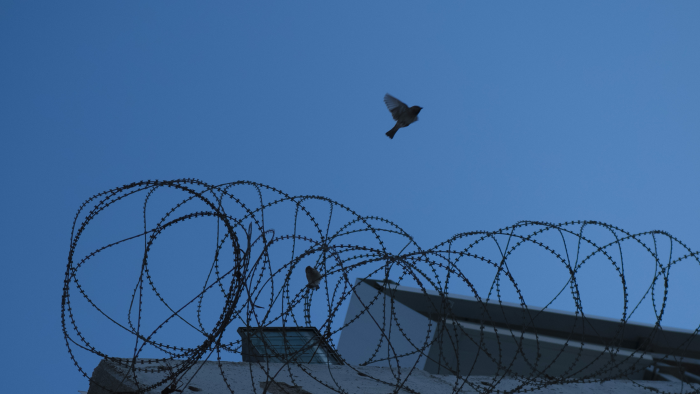 En mur med taggtråd. En fågel flyger över mörkblå himmel i bakgrunden.