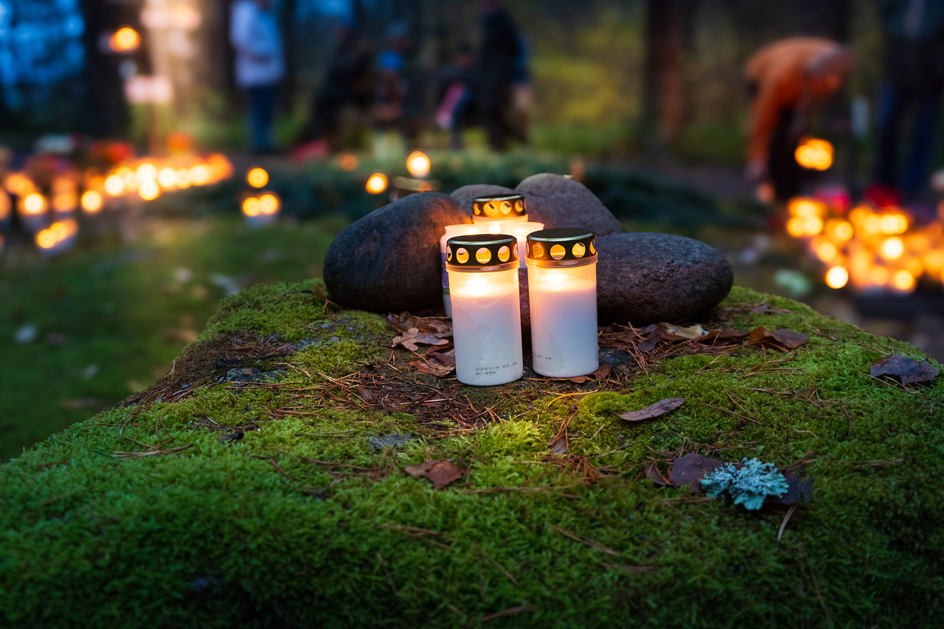 Hammarby kyrkogårds minneslund, ljus som lyser. Två gravljus står sida vid sida på en mossbeklädd sten i minneslunden.