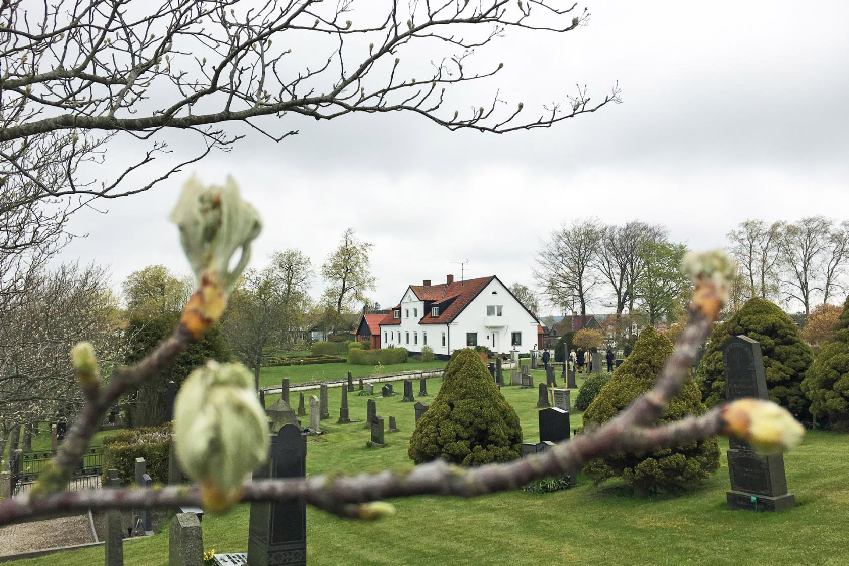 Skånsk vitkalkad gård i lummig miljö.