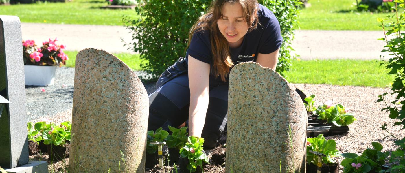 En kvinna i arbetskläder planterar blommor vid en grav