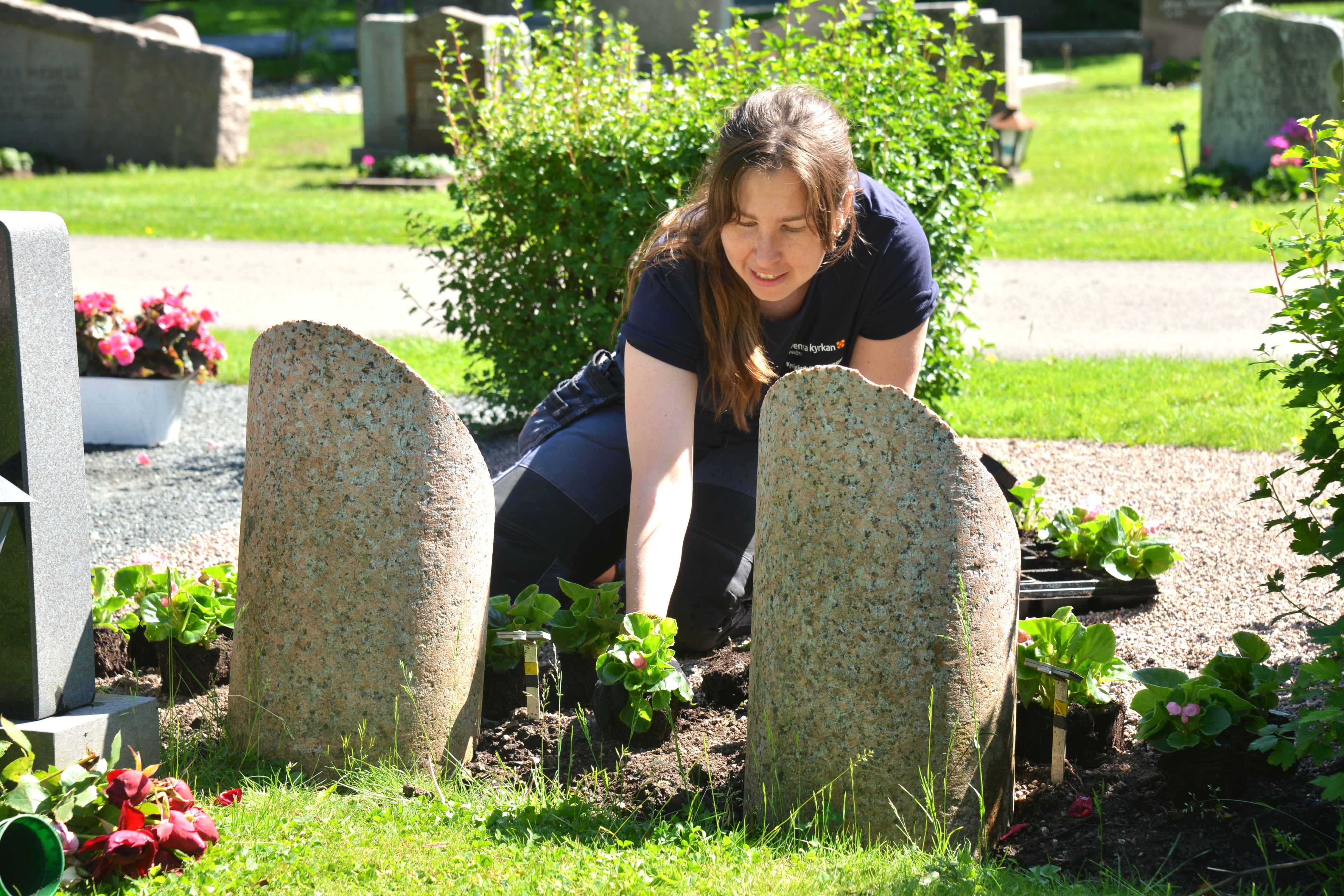 En kvinna i arbetskläder planterar blommor vid en grav