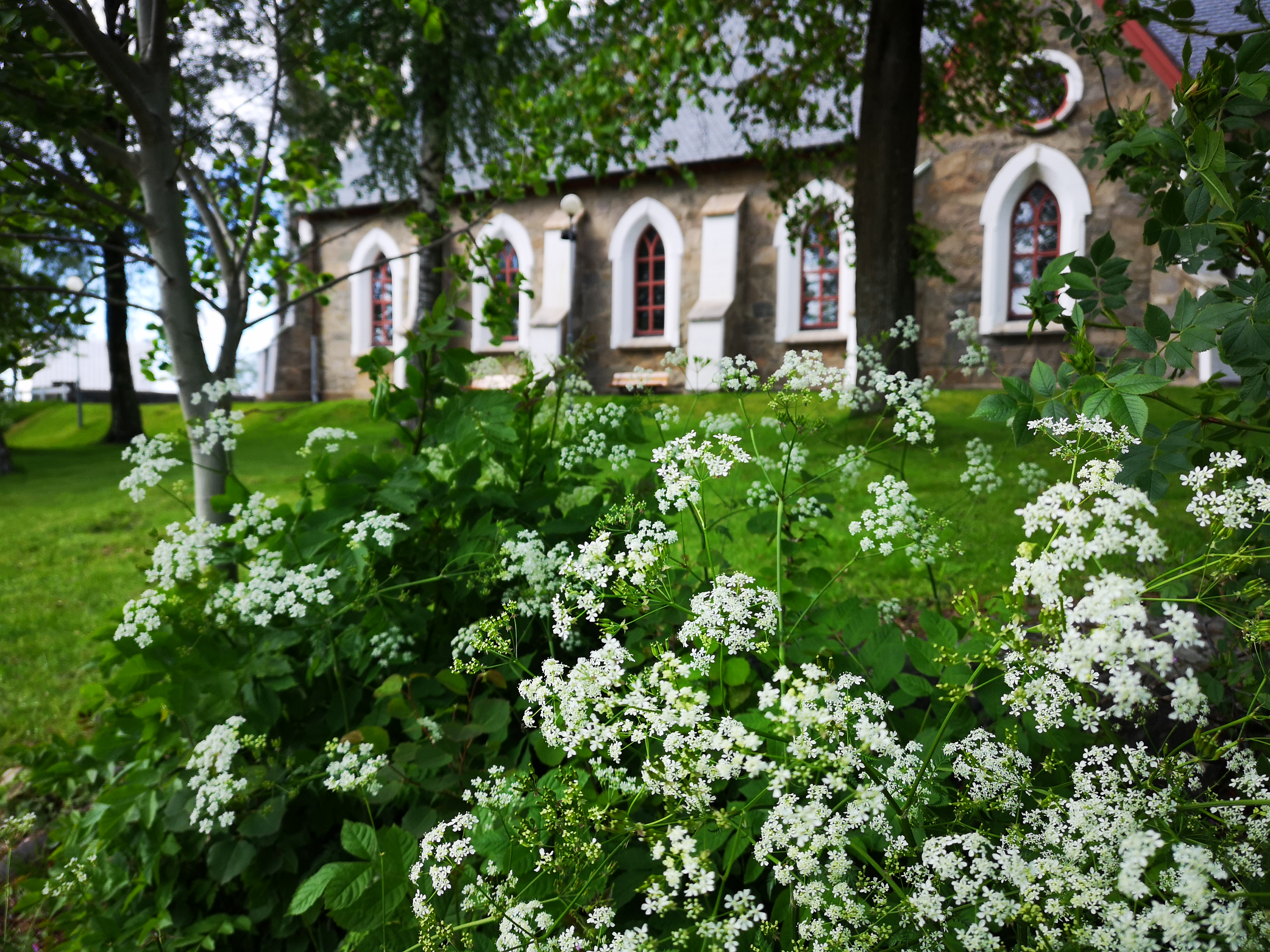 Bild på Västra Frölunda kyrka med sommargrönska i förgrunden. 