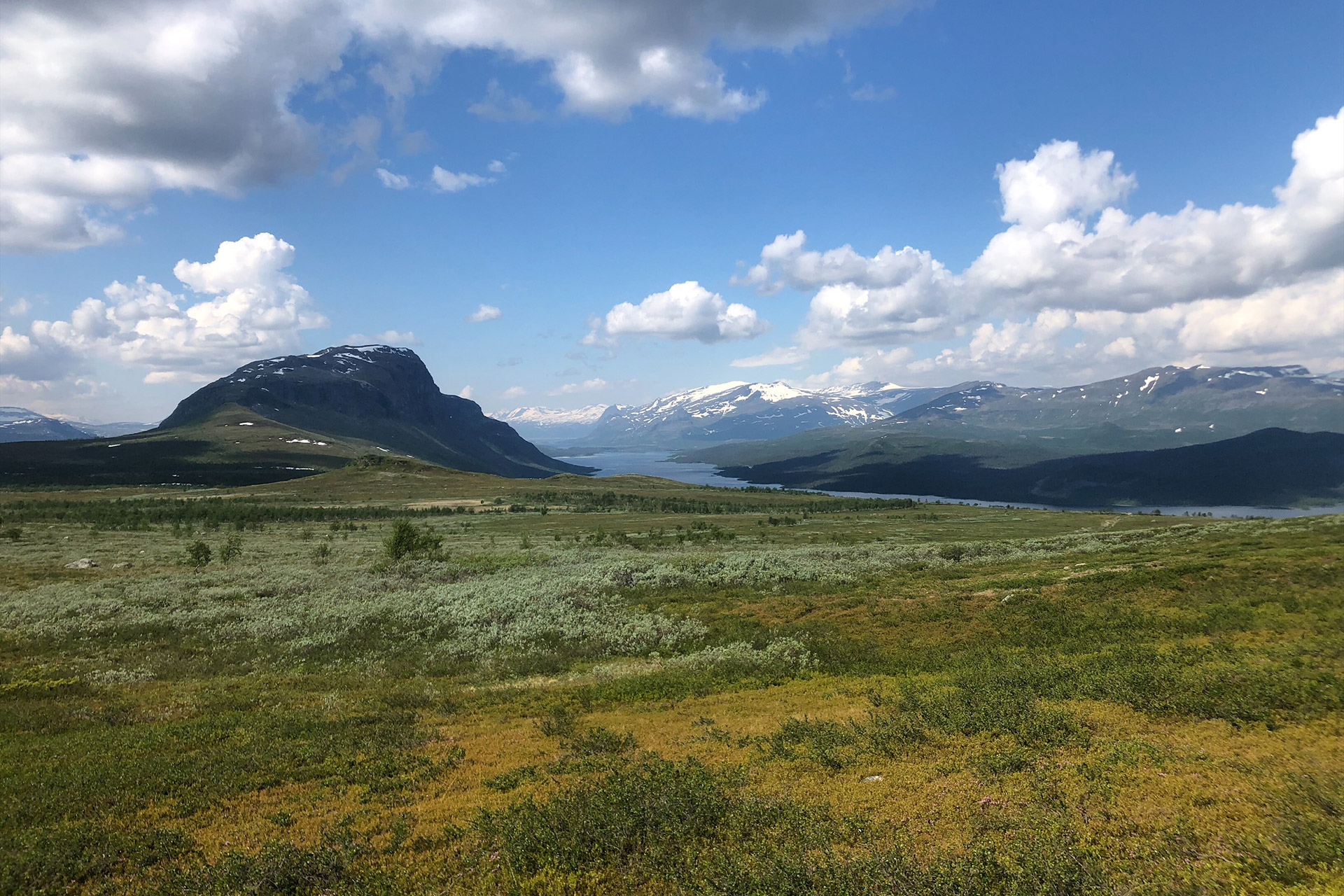 Ett fjällandskap med berg, vatten, himmel och gröna marker. 