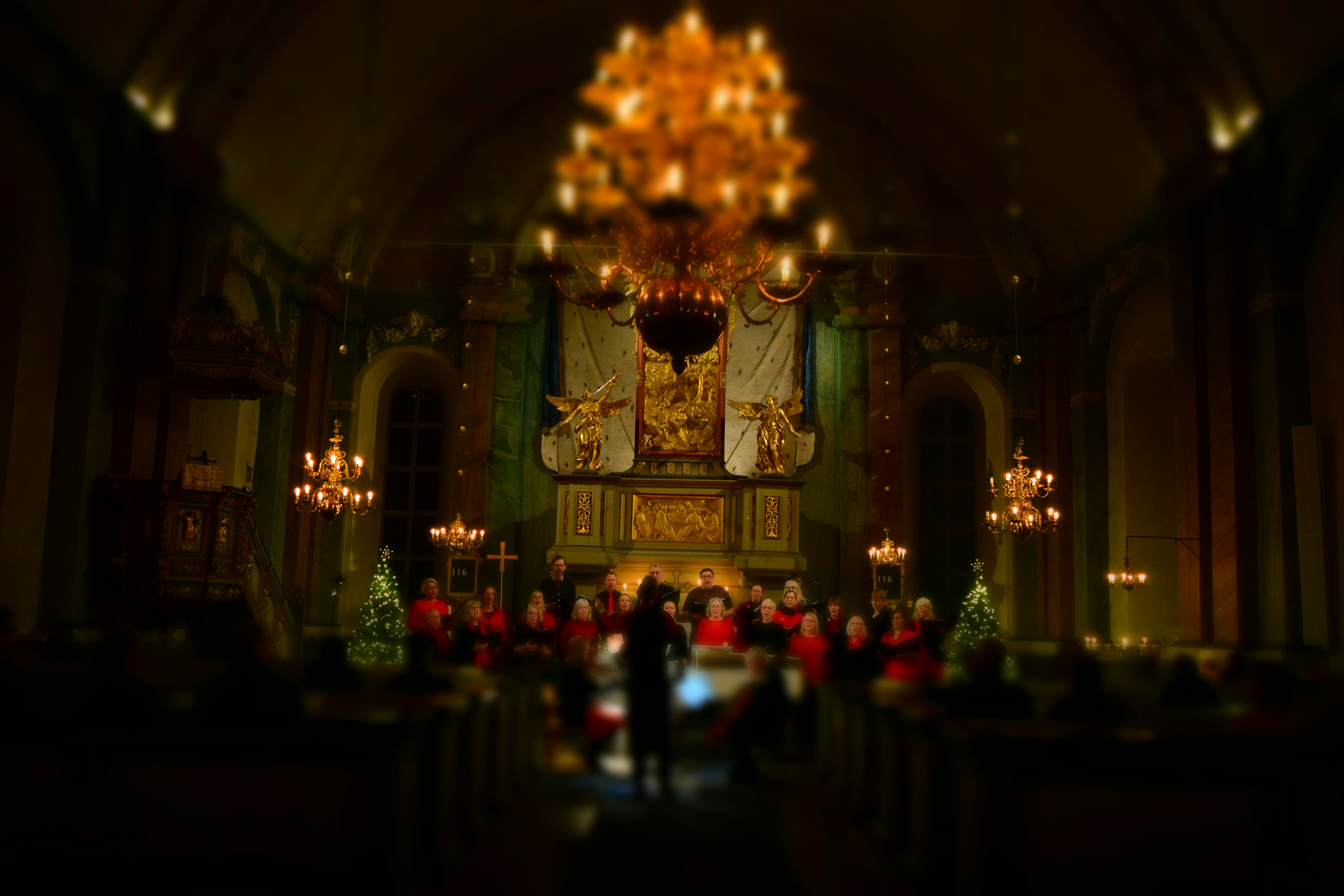 Stämningsfull jul i Hedesunda i kyrka med granar och körsång.