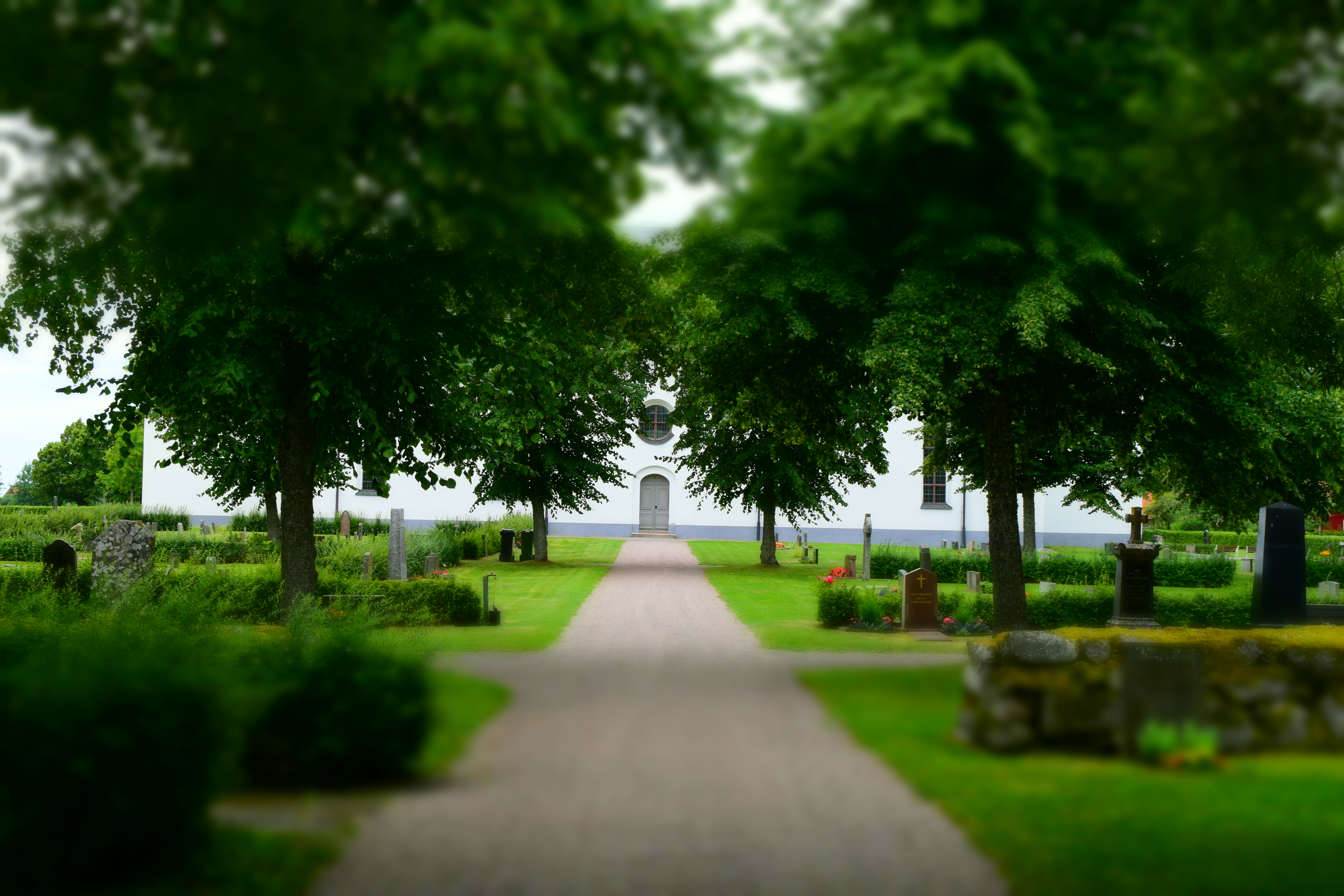 Lummig grönska på Hedesunda kyrkogård.