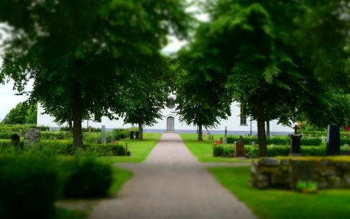 Lummig grönska på Hedesunda kyrkogård.