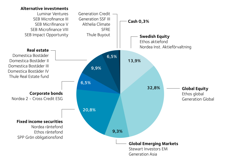 Division between asset classes 2020.