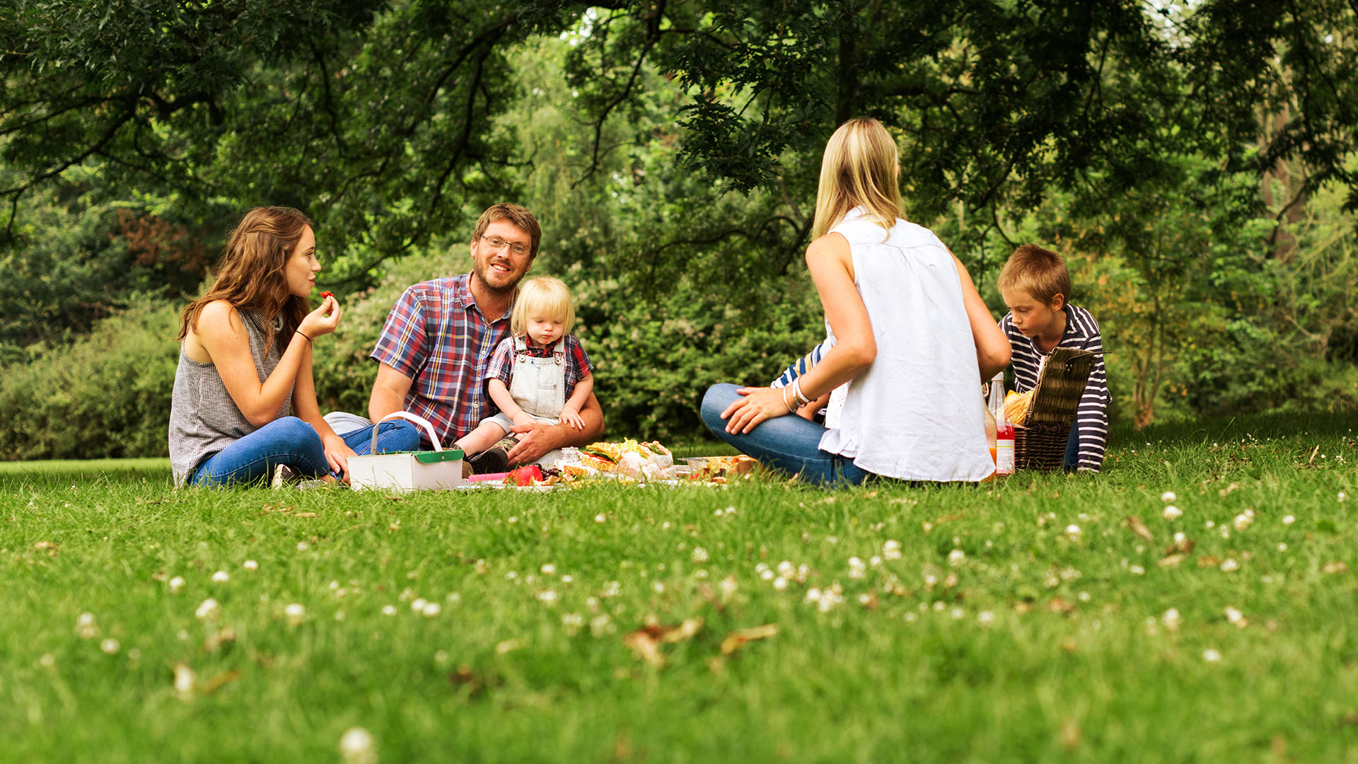 Människor som har en picknick på en somrig gräsmatta.