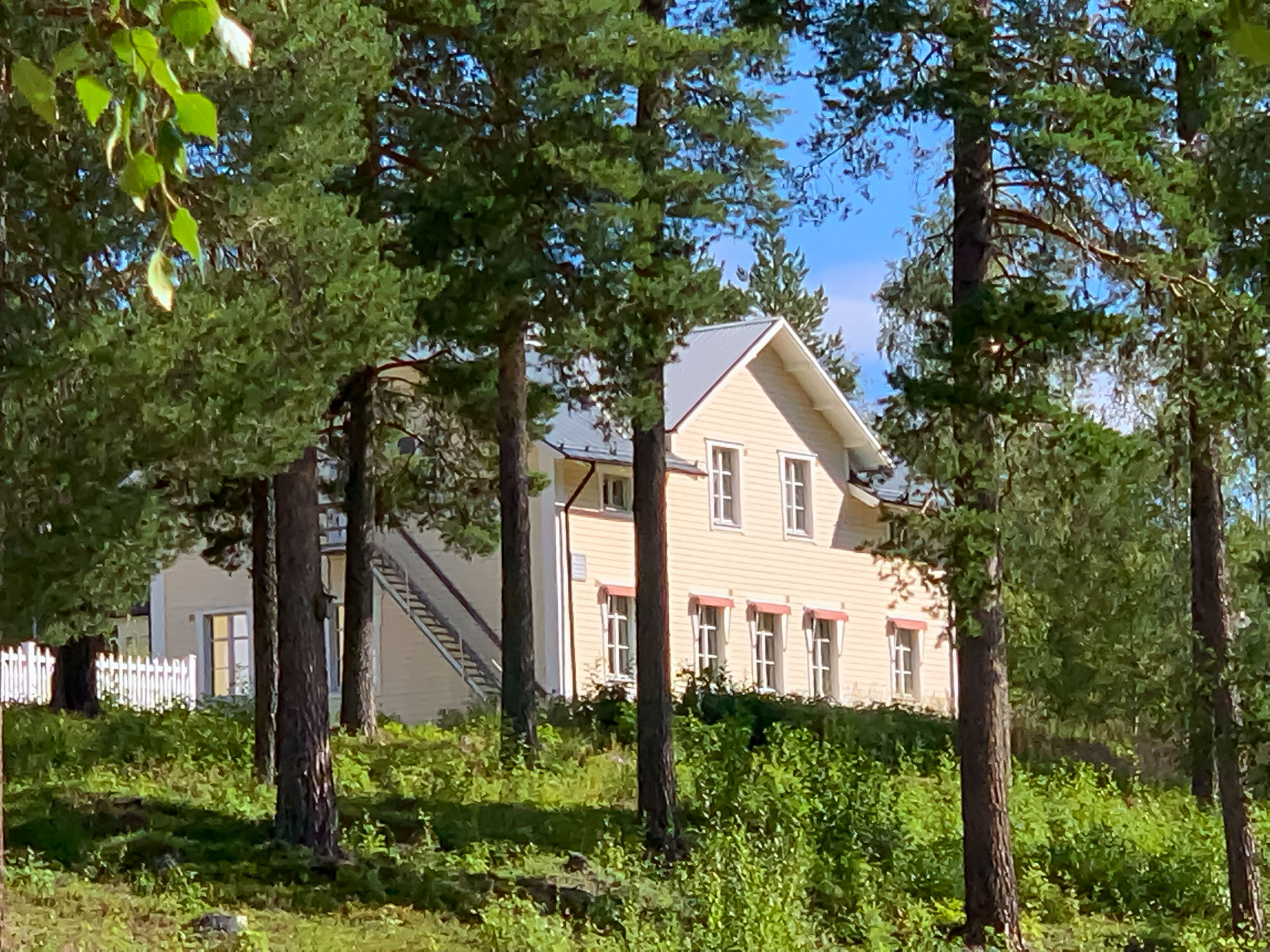 En gulmålad byggnad med liggande träpanel skymtar bakom höga tallar.