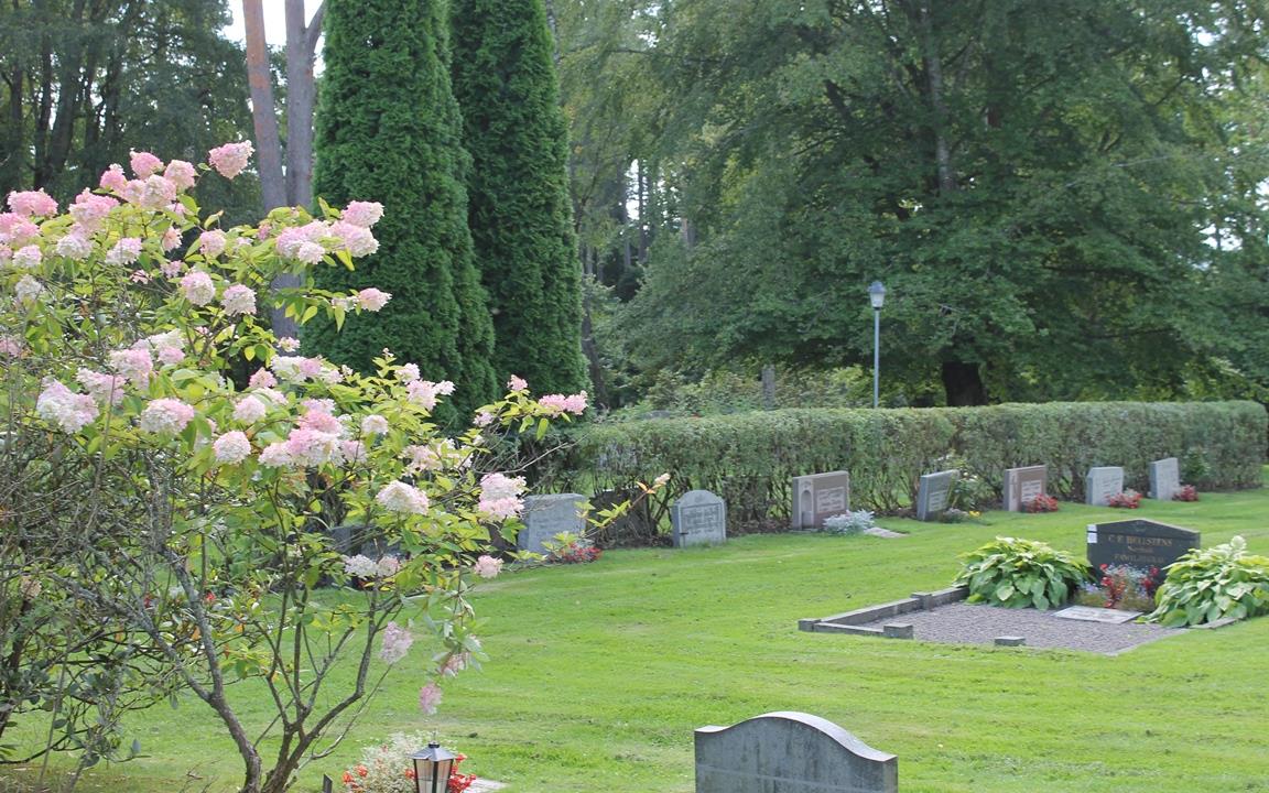 Blommande buske på Degerfors kyrkogård