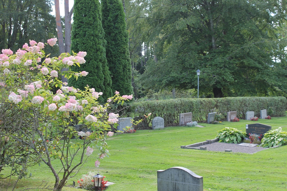 Blommande buske på Degerfors kyrkogård