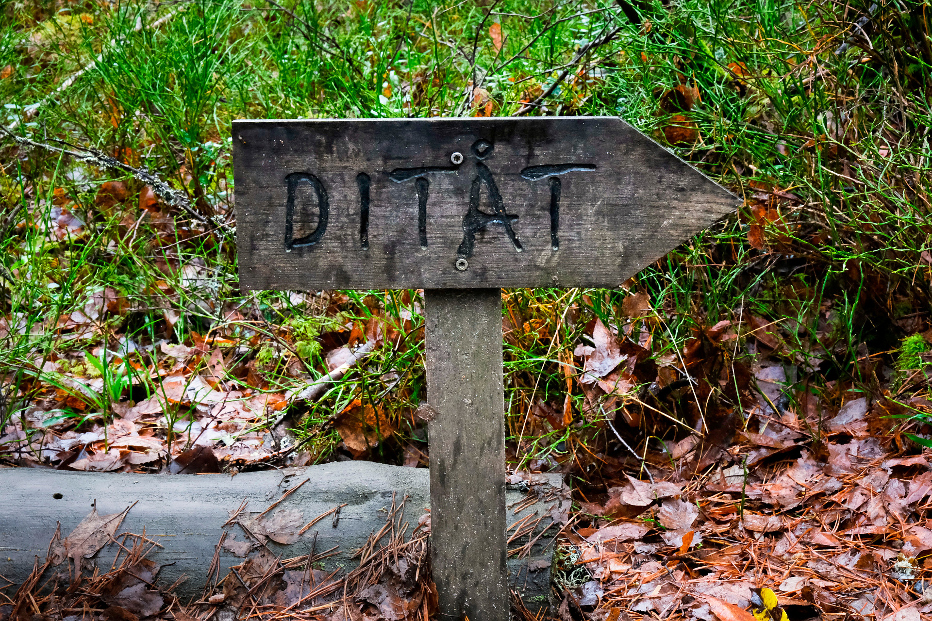 Skylt med texten Ditåt