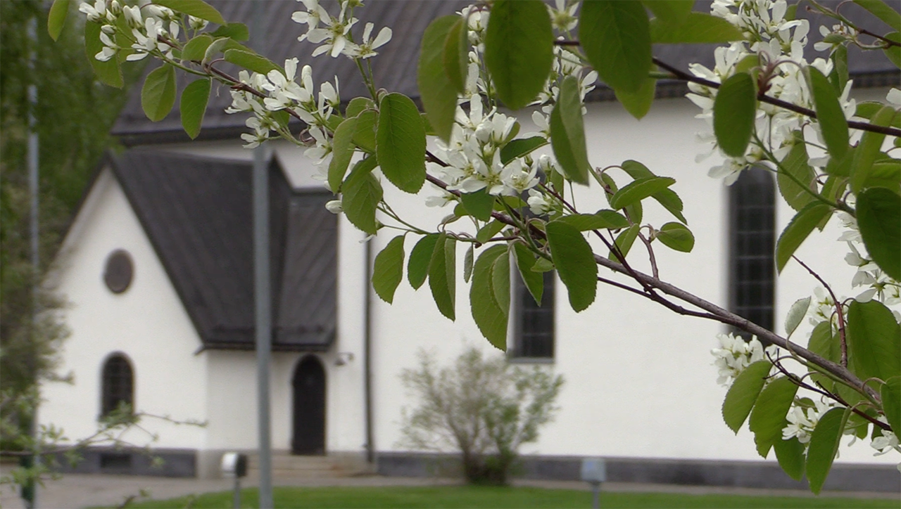 Svenska Kyrkan Skellefteå