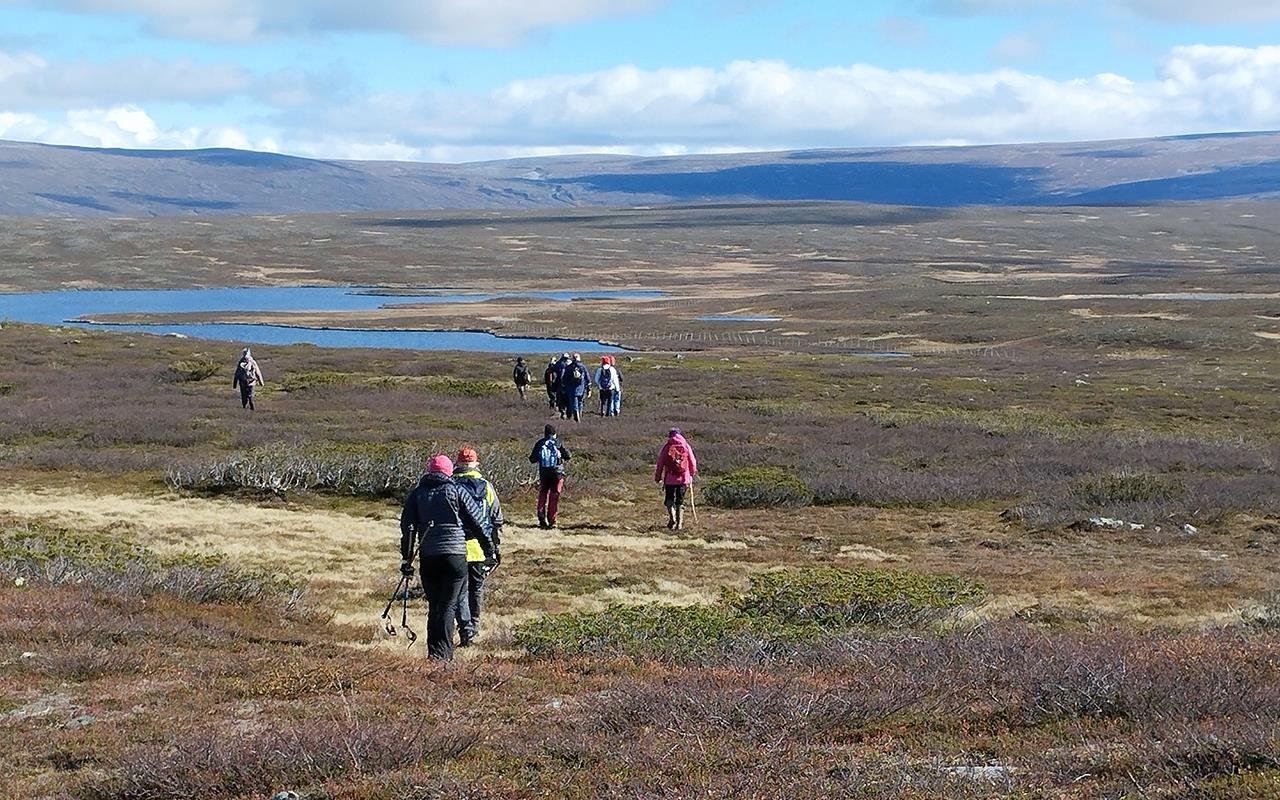 Pilgrimsvandring på fjället.