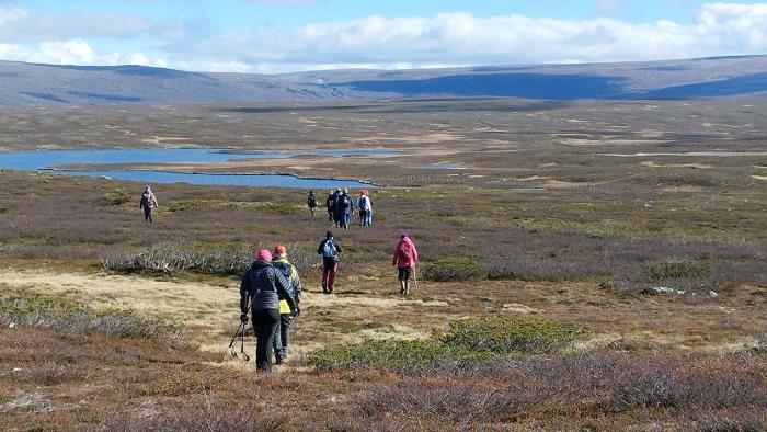 Pilgrimsvandring på fjället.