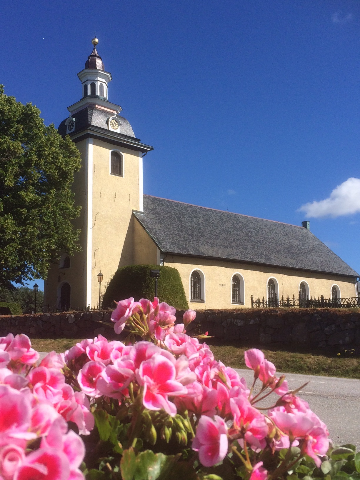 Snavlunda kyrka en sommardag, i förgrunden syns rosa pelargoner