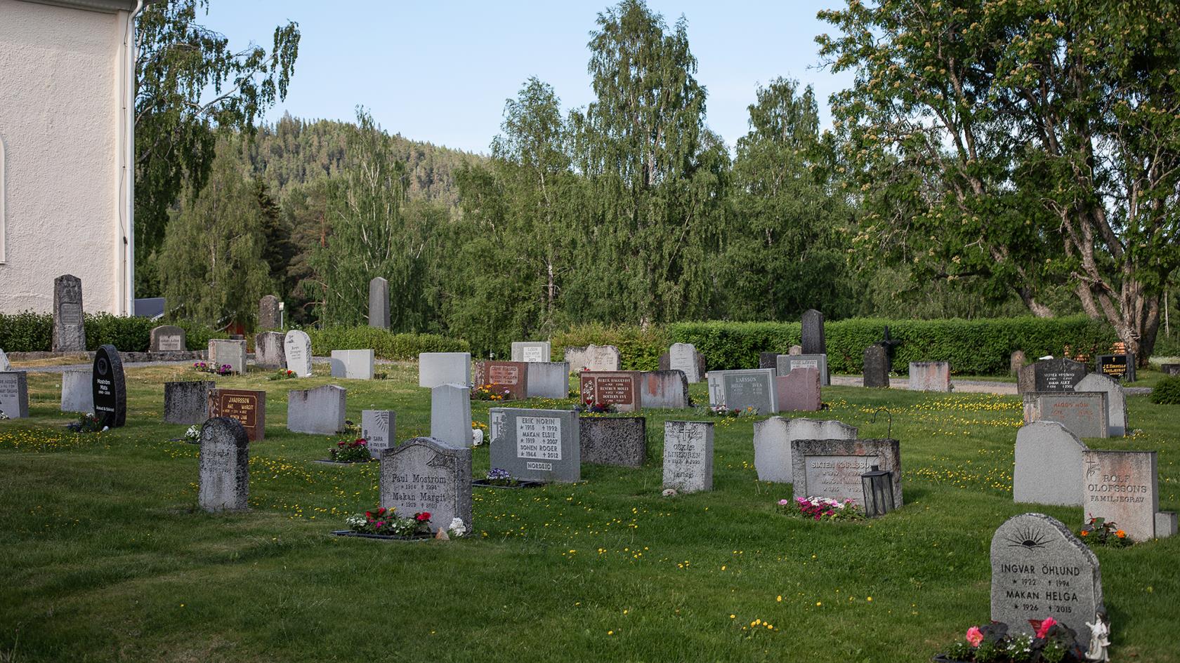 En kyrkogård, grönt gräs, träd och många olika gravstenar