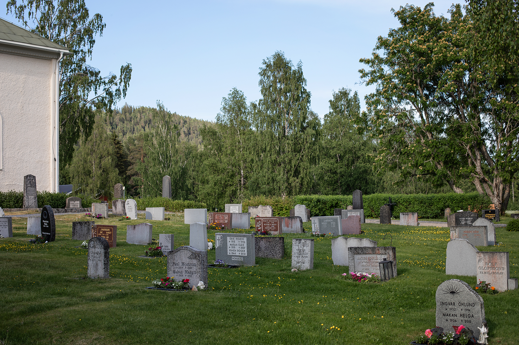 En kyrkogård, grönt gräs, träd och många olika gravstenar