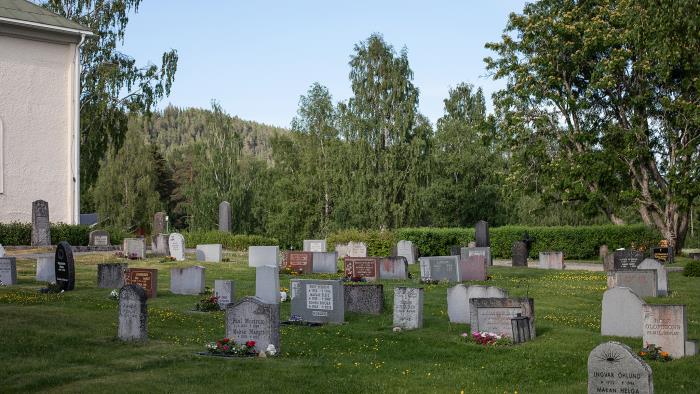 En kyrkogård, grönt gräs, träd och många olika gravstenar