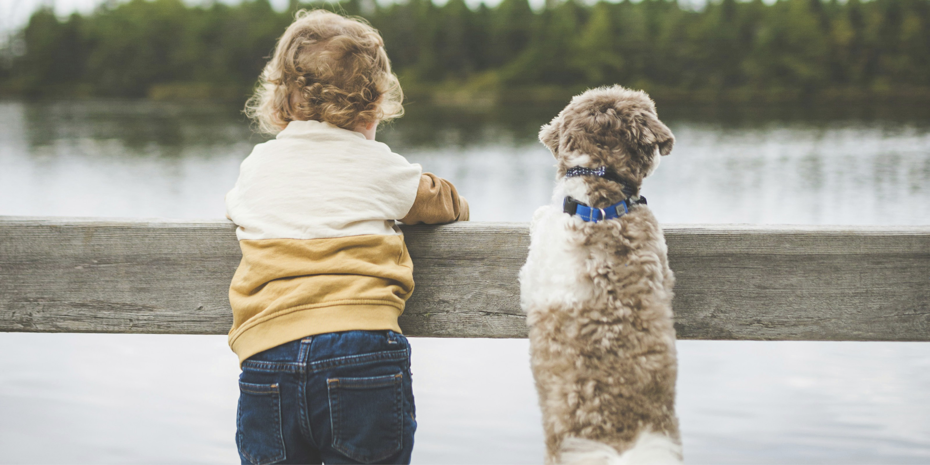 Ett litet barn och en hund står tillsammans på en brygga och tittar ut över vattnet. 