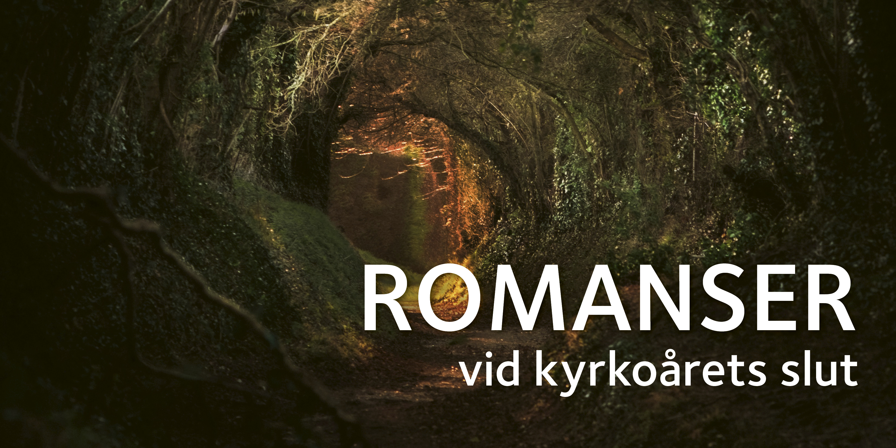 Glänta i tät skog med text: Romansen vid kyrkoårets slut. 