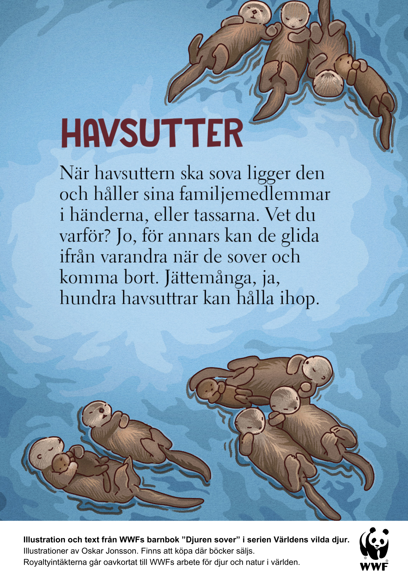 Illustration från WWFs barnbok "Djuren sover" i serien Världens vilda djur. Illustratör Oskar Jonsson