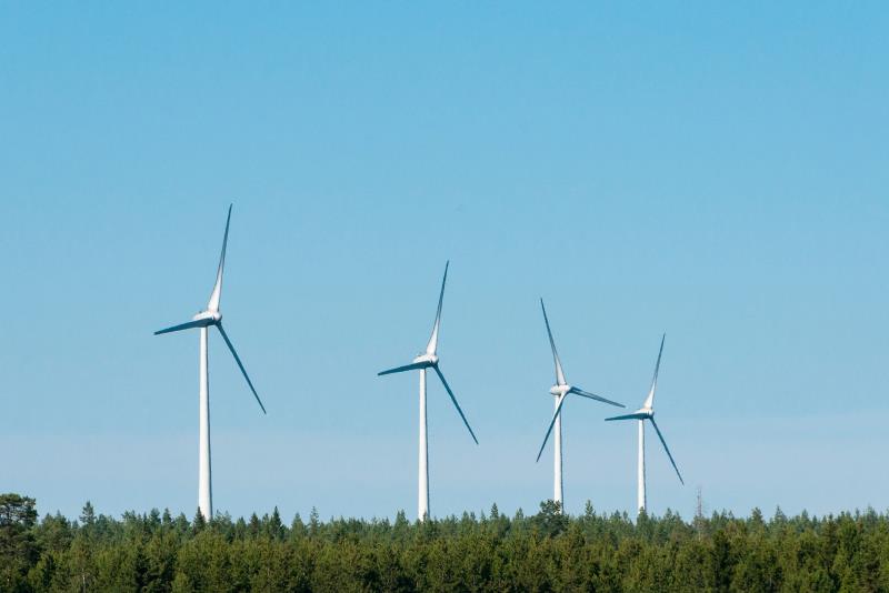 Vindkraftverk i skog mot blå himmel